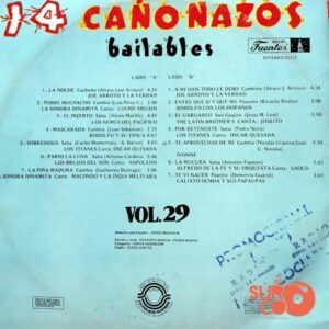 Disco de Vinilo Varios - 14 Cañonazos Bailables Vol. 29 Vinyl Record