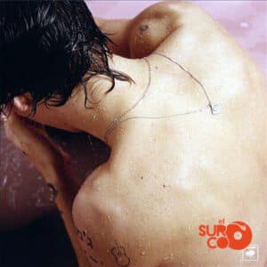 Disco de Vinilo Harry Styles - Harry Styles (Gatefold, Vinilo 180 gramos, Folleto) Vinyl Record