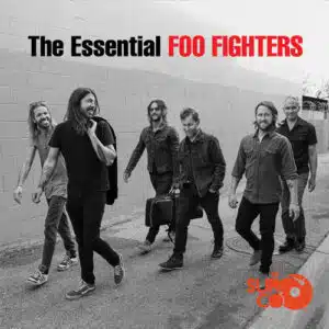 Vinilo Foo Fighters - The Essential Foo Fighters (2 LP) Vinyl