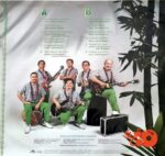 Disco de Vinilo Los Mirlos - Corazón Amazónico (Color Splatter) Vinyl Record