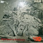 Disco de Vinilo Varios - Christmas In California Vinyl Record