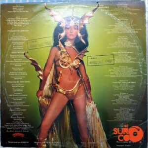 Disco de Vinilo Cher - Llévame A Casa Vinyl Record