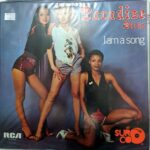 Disco de Vinilo Paradise Birds - I Am A Song Vinyl Record