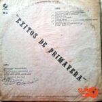 Disco de Vinilo Varios - Éxitos De Primavera Vinyl Record