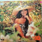 Disco de Vinilo Ángela Carrasco - Piel Canela Vinyl Record