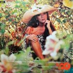 Disco de Vinilo Ángela Carrasco - Piel Canela Vinyl Record