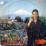 Disco de Vinilo Orquesta América - Canelazo Vinyl Record