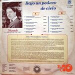 Disco de Vinilo Zhunaula - Bajo Un Pedazo De Cielo Vinyl Record