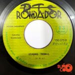 Disco de Vinilo Dúo Jaramillo Ramos - A Orillas Del Tomebamba / Lejanas Tierras Vinyl Record