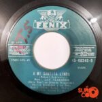 Disco de Vinilo Dúo Los Aldeanos - Por Que No Me Quieres / A Mi Santita Linda Vinyl Record
