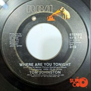 Disco de Vinilo Eric Carmen - Hungry Eyes / Where Are You Tonight Vinyl Record