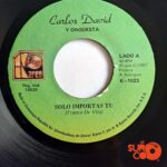 Disco de Vinilo Carlos David - Solo Importas Tú / Dame Tu Querer Vinyl Record