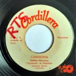 Disco de Vinilo Polibio Mayorga - Camisona / Chicha Agria Vinyl Record