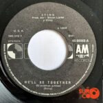 Disco de Vinilo Sting - We’ll Be Together / Si Estamos Juntos Vinyl Record