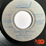 Disco de Vinilo Margarita Lugue - Chofercito Carretero / Falsedad Vinyl Record