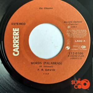 F.R David - Words / When The Sun Goes Down Vinilo