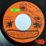 Disco de Vinilo Los Fabulosos Cadillacs - Mi Novia Se Cayó En Un Pozo Ciego / El Genio Del Dub Vinyl Record