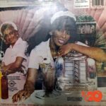 Disco de Vinilo Donna Summer - She Works Hard For The Money Vinyl Record