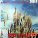 Disco de Vinilo Hermanos Castro - Espigas Musicales Vinyl Record