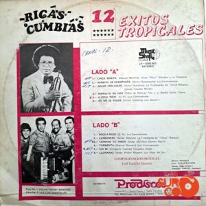 Disco de Vinilo Varios - Ricas Cumbias Vinyl Record