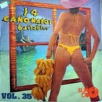 Disco de Vinilo Varios - 14 Cañonazos Bailables Vol. 35 Vinyl Record