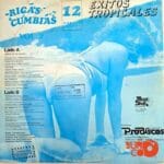Disco de Vinilo Varios - Ricas Cumbias Vol, 2 Vinyl Record