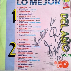 Disco de Vinilo Varios - Lo Mejor Del Año Vol. 15 Vinyl Record