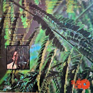 Disco de Vinilo Raphy Leavitt - La Selecta Vinyl Record