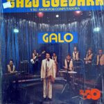 Disco de Vinilo Galo Guevara - Amor Por Computadora Vinyl Record