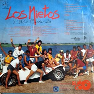 Disco de Vinilo Los Nietos Están Creciendo - Merengue Vinyl Record