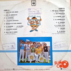 Disco de Vinilo Los Nada Que Ver - 16 Auténticos Éxitos Vinyl Record