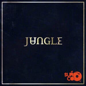 Disco de Vinilo Jungle - Jungle Vinyl Record