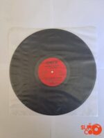 Fundas para Discos de Vinilo Internas