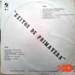 Disco de Vinilo Varios - Éxitos De Primavera Vinyl Record