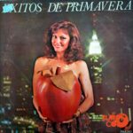 Disco de Vinilo Varios - Éxitos De Primavera Vinyl Record