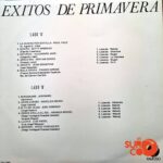 Disco de Vinilo Varios - Éxitos De Primavera Vinyl Record