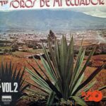 Disco de Vinilo Varios - Tesoros De Mi Ecuador Vol 2 Vinyl Record