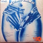 Disco de Vinilo Momo Yang - Salsa Jeans Vinyl Record