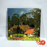 CD Ayawaska - Ayawaska