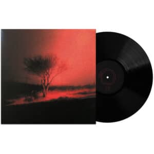 Vinilo Joji - Piss In The Wind