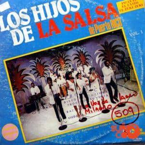 Vinilo Los Hijos De La Salsa De Puerto Rico - Los Hijos De La Salsa