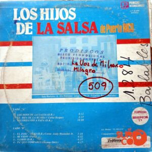 Vinilo Los Hijos De La Salsa De Puerto Rico - Los Hijos De La Salsa