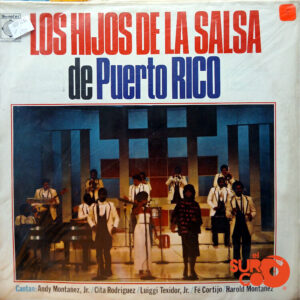 Vinilo Los Hijos De La Salsa De Puerto Rico - Los Hijos De La Salsa