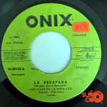 Vinilo Los Hijos De La Niña Luz - La Escapada / La Adivinanza