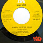 Vinilo Los Cantores De Quilla Huasi - Hasta Siempre Amor / Soledad