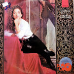 Vinilo Gloria Estefan - Exitos De Gloria Estefan