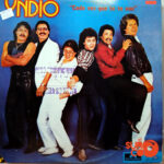 Vinilo Yndio - Cada Vez Que Tu Te Vas