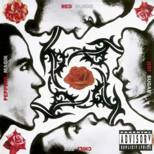Red Hot Chili Peppers - Blood Sugar Sex Magik (2 LP, Vinilo)